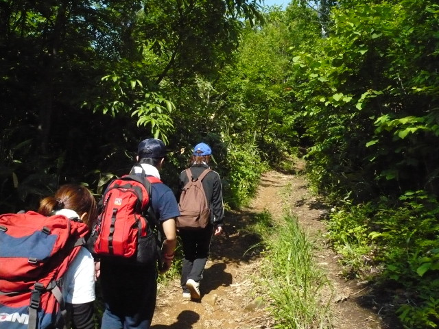 img0013.jpg