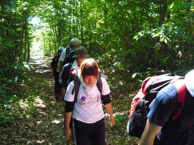 img0015.jpg