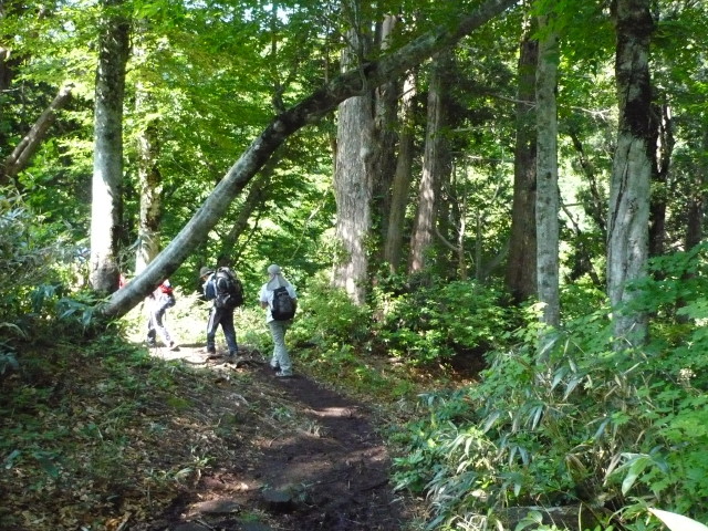 img0018.jpg