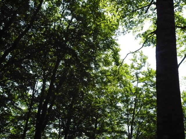 img0022.jpg
