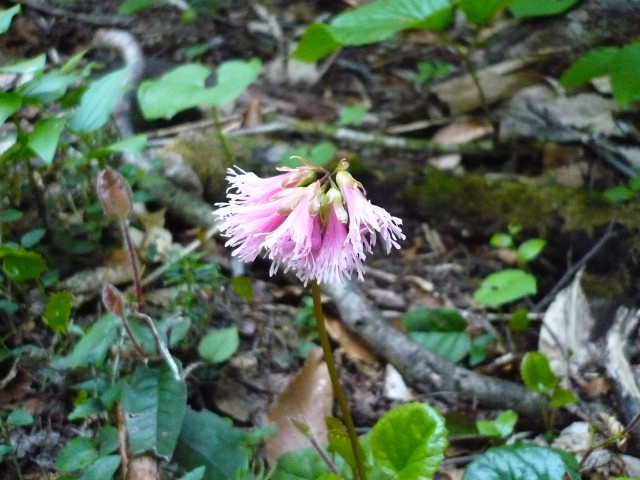 img0026.jpg