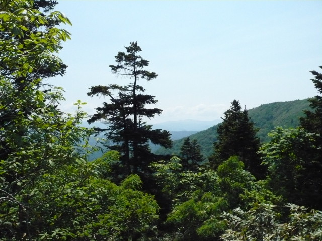img0029.jpg