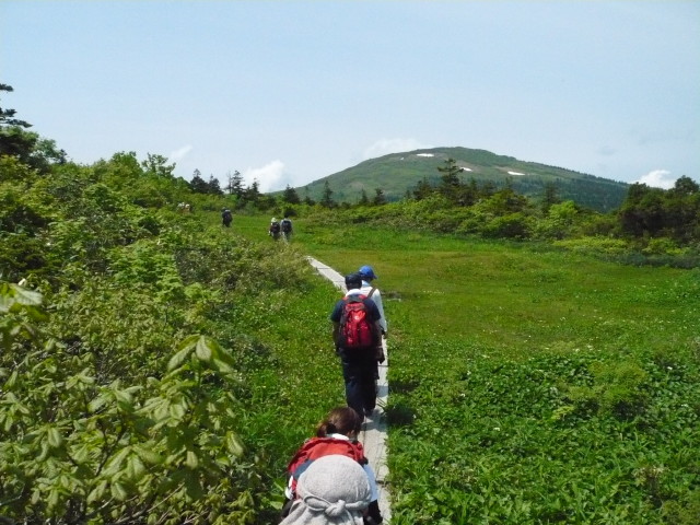 img0041.jpg