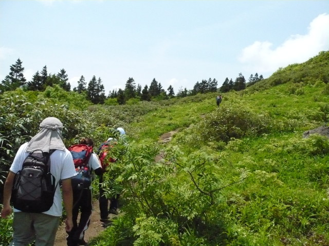 img0049.jpg