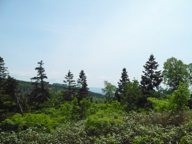 img0052.jpg