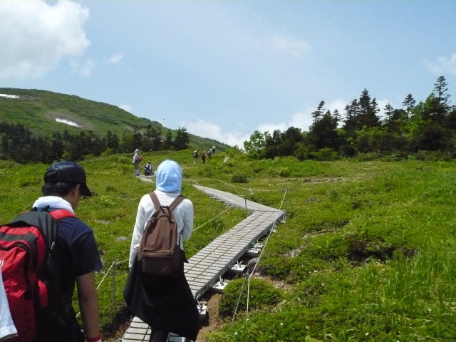 img0054.jpg