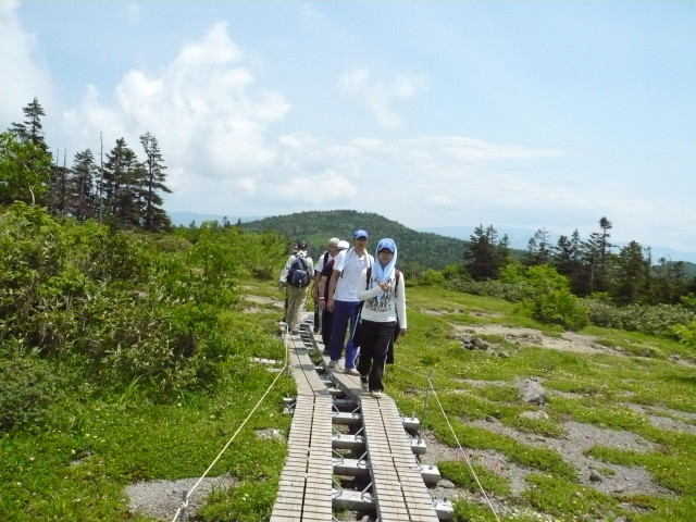 img0061.jpg