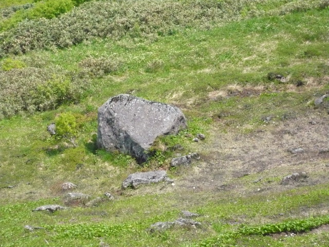 img0071.jpg