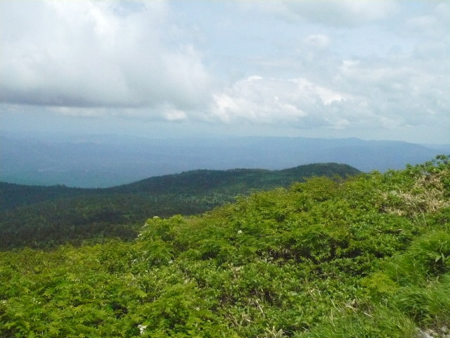 img0084.jpg
