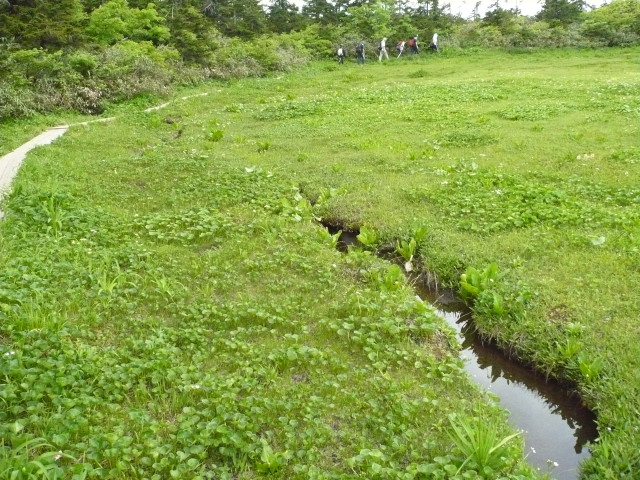 img0090.jpg