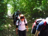 img0015.jpg