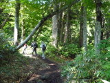 img0018.jpg