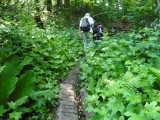 img0019.jpg
