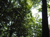 img0022.jpg