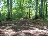 img0023.jpg