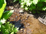 img0028.jpg