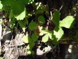 img0030.jpg