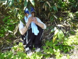 img0031.jpg