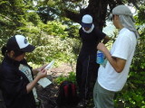 img0032.jpg
