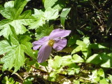 img0035.jpg