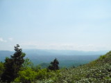 img0037.jpg
