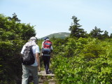 img0040.jpg
