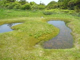 img0042.jpg