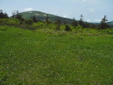 img0045.jpg