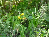 img0047.jpg