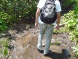 img0048.jpg