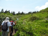 img0049.jpg