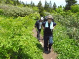 img0050.jpg