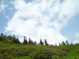 img0051.jpg