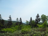 img0052.jpg