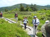 img0056.jpg