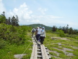 img0061.jpg