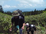 img0064.jpg