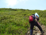 img0065.jpg