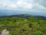 img0082.jpg