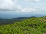 img0084.jpg