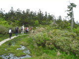 img0091.jpg