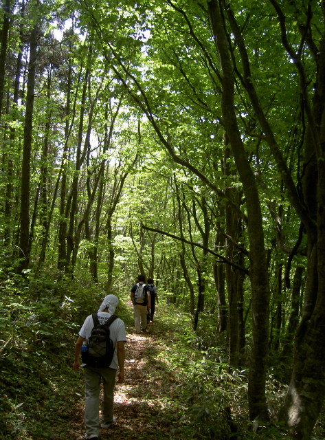 img0008.jpg