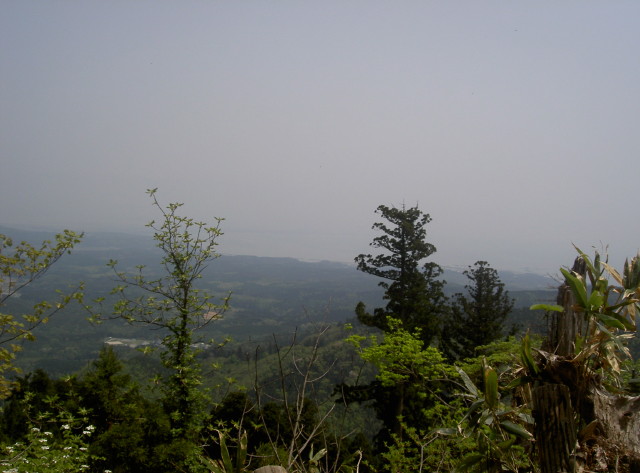 img0012.jpg