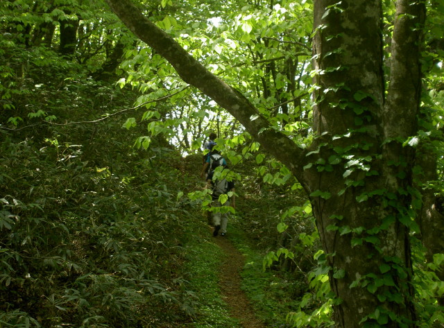 img0019.jpg