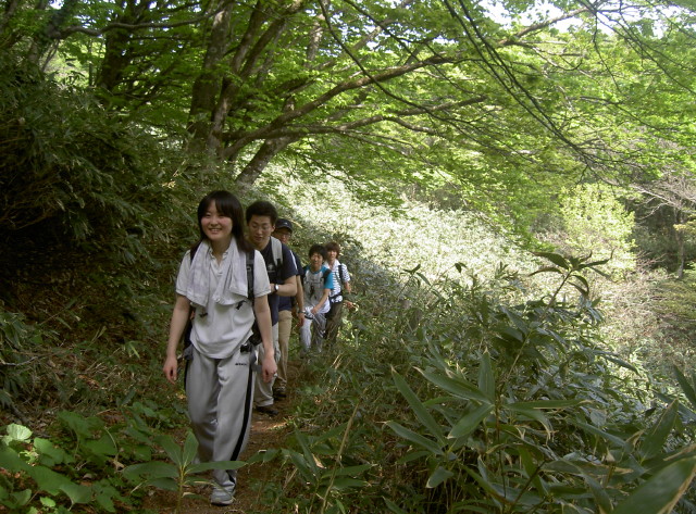 img0027.jpg