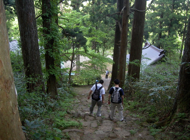 img0036.jpg