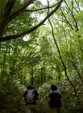 img0004.jpg