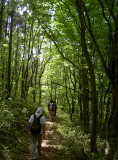 img0008.jpg
