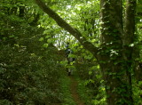 img0019.jpg