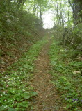 img0020.jpg